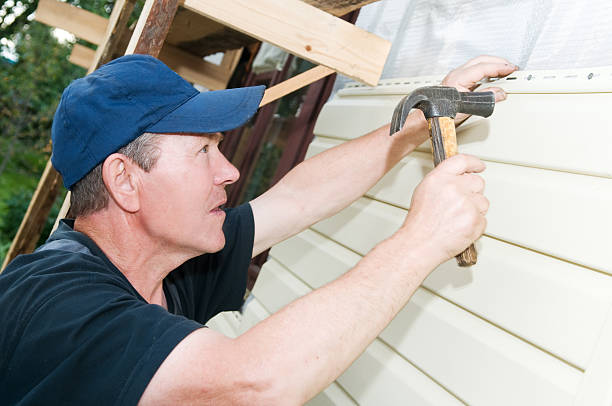 Best Stone Veneer Siding  in Eudora, KS